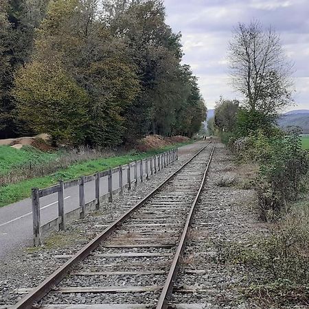 A L'Oree Du Bois "Les Hetres" Guewenheim Exterior foto